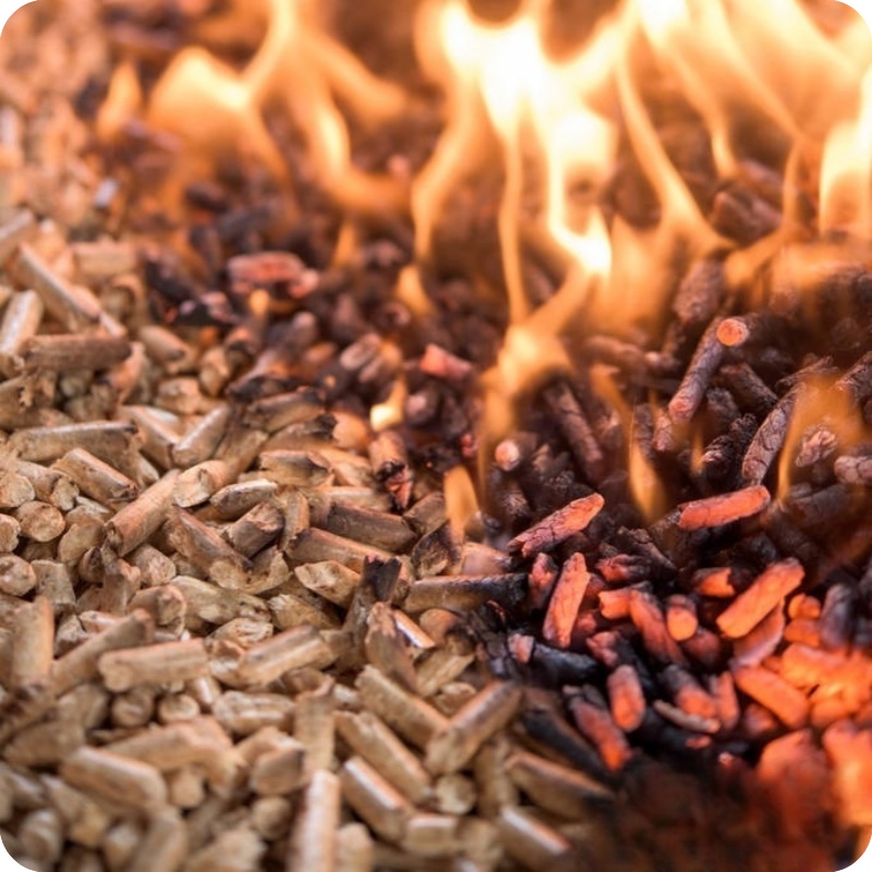 Biomass particles