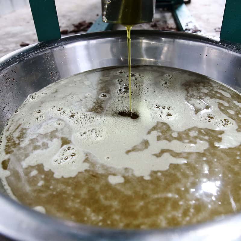 Crude oil with suspended impurities before filtration